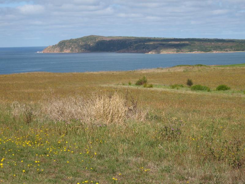 San Remo - Bore Beach, Potters Hill Road - View south-west from Potters Hill Rd towards Cape Woolamai