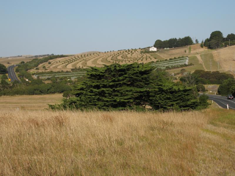 San Remo - Phillip Island Road between San Remo and Anderson: View east along Phillip Island Rd between Punchbowl Rd and Clifford Rd