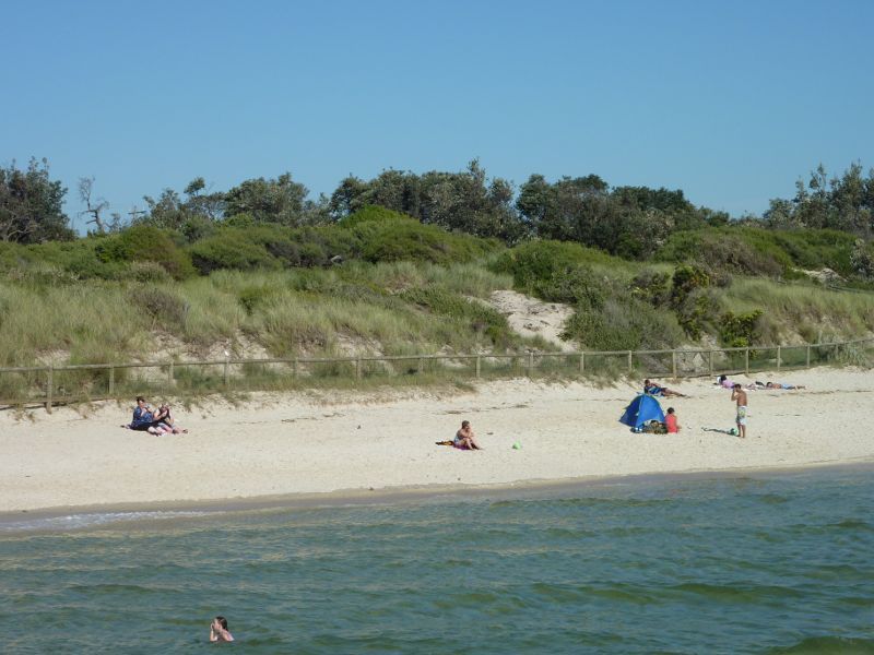 Seaford - Seaford Pier and surrounding beaches: View from pier towards beach to the south