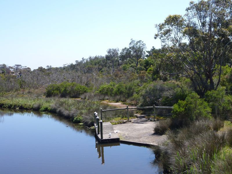 Seaford - Kananook Creek at McCulloch Avenue: Canoe launching ramp north of footbridge