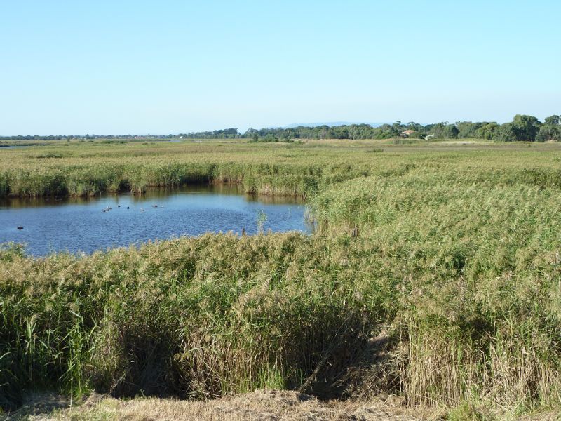 Seaford - Seaford Wetlands, Austin Road: North-easterly view across wetlands from viewing platform