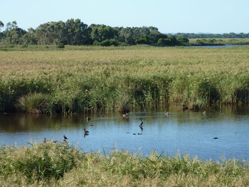 Seaford - Seaford Wetlands, Austin Road: Northerly view across wetlands from viewing platform