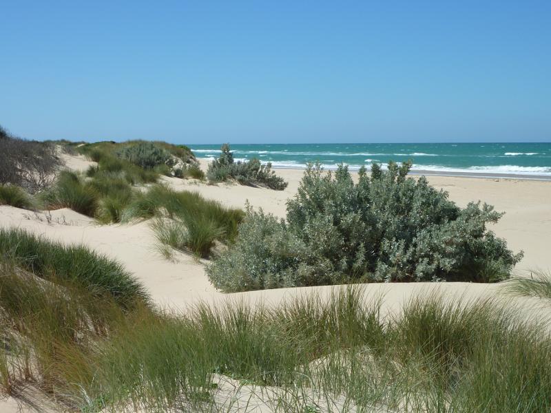 Seaspray - Beach at south-western end of Foreshore Road and mouth of Merriman Creek: Sand dunes on beach east of creek