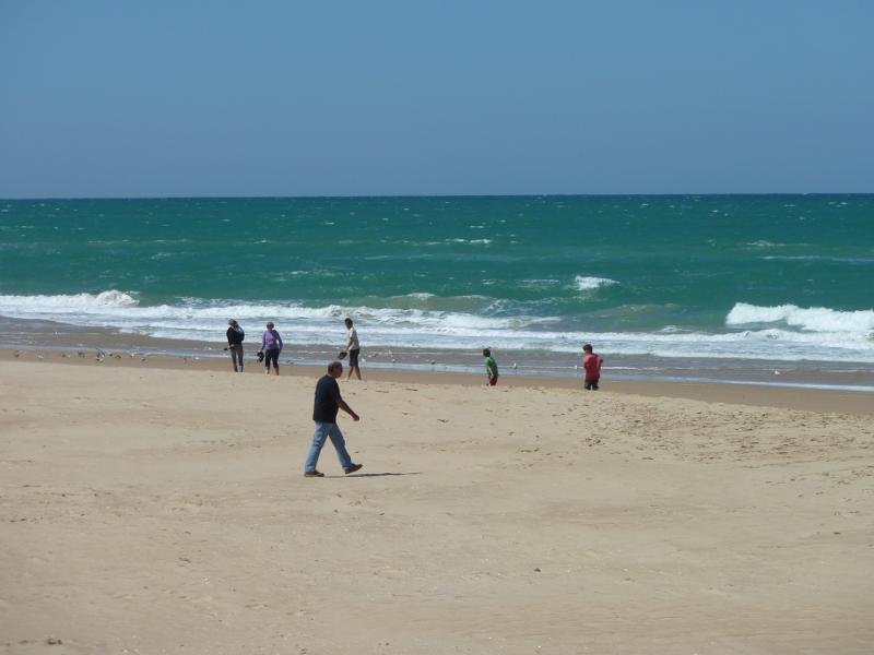 Seaspray - Beach at south-western end of Foreshore Road and mouth of Merriman Creek: Beach near mouth of creek