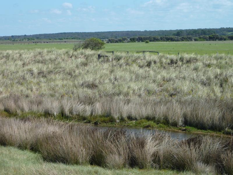 Seaspray - Beach at south-western end of Foreshore Road and mouth of Merriman Creek: Westerly view inland from beach west of creek