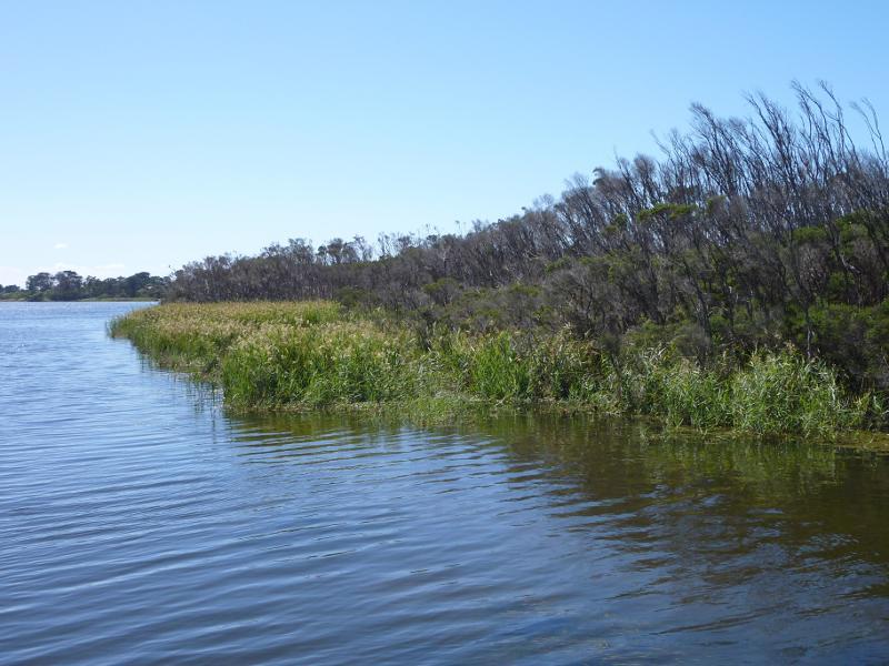 Seaspray - Merriman Creek and fishing platform at the park at end of Foreshore Road: View north along creek from fishing platform