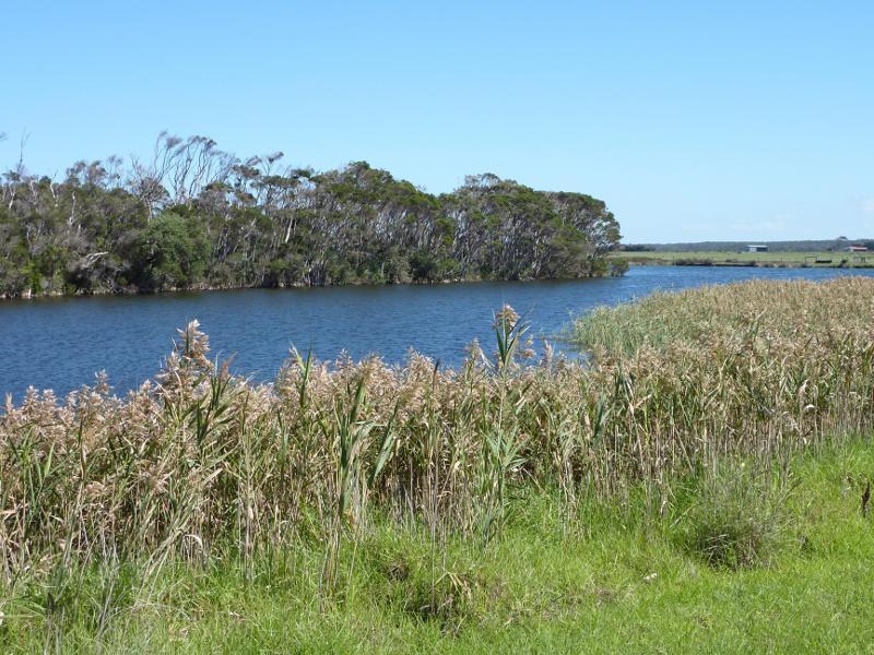 Seaspray - Reserve north of Buckley Street, along Merriman Creek and The Island - View across waters on south side of The Island
