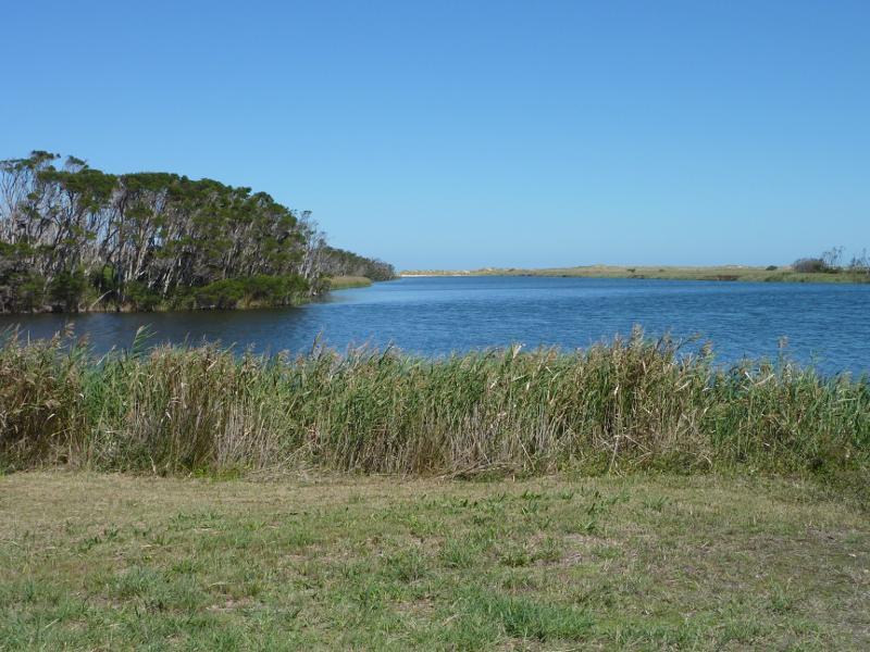 Seaspray - Reserve north of Buckley Street, along Merriman Creek and The Island: View south along Merriman Creek from west side of The Island