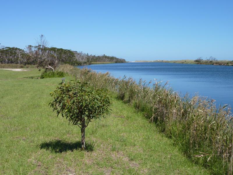 Seaspray - Reserve north of Buckley Street, along Merriman Creek and The Island: View south along Merriman Creek from west side of The Island