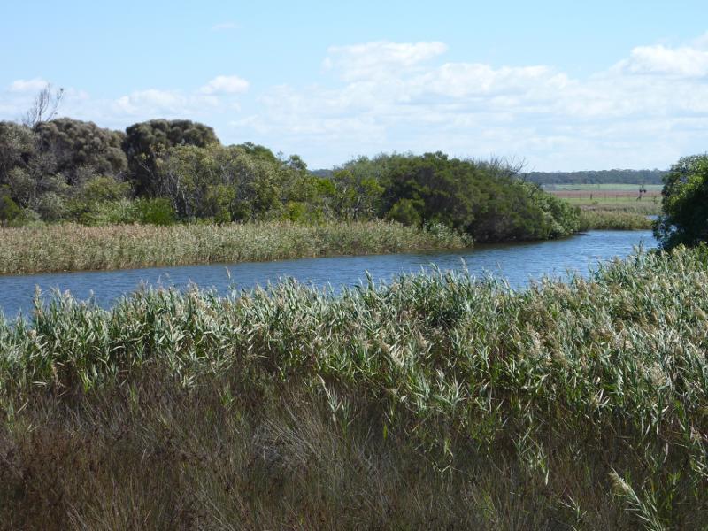 Seaspray - Reserve north of Buckley Street, along Merriman Creek and The Island: View south-west across creek towards northern side of The Island