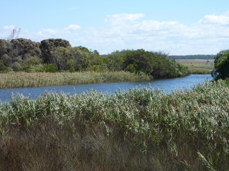 Seaspray - Reserve north of Buckley Street, along Merriman Creek and The Island - View south-west across creek towards northern side of The Island