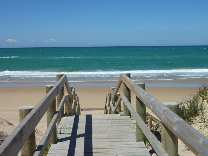 Seaspray - Beach at south-east end of Futcher Street: View to beach from path at top of sand dunes
