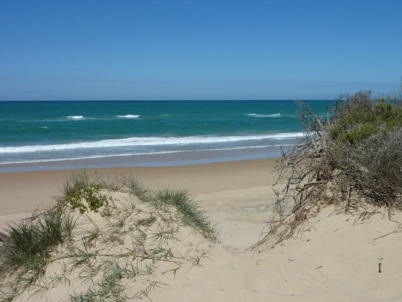 Seaspray - Beach at south-east end of Futcher Street: View down to beach from sand dunes