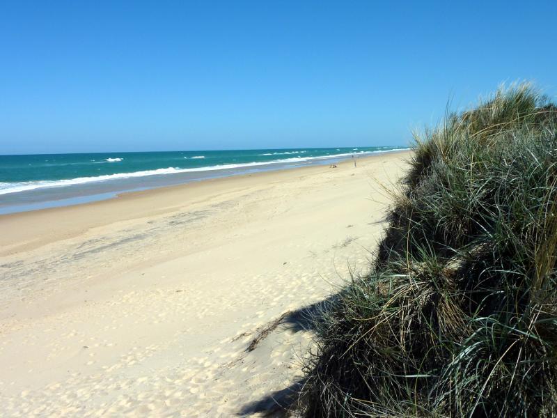 Seaspray - Beach at Shoreline Drive opposite Centre Road: View south-west along beach from sand dunes