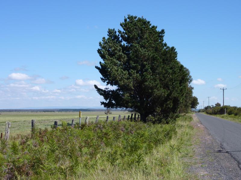 Seaspray - Seaspray Road north of Seaspray: View west along Stradbroke East Rd at Seaspray Rd