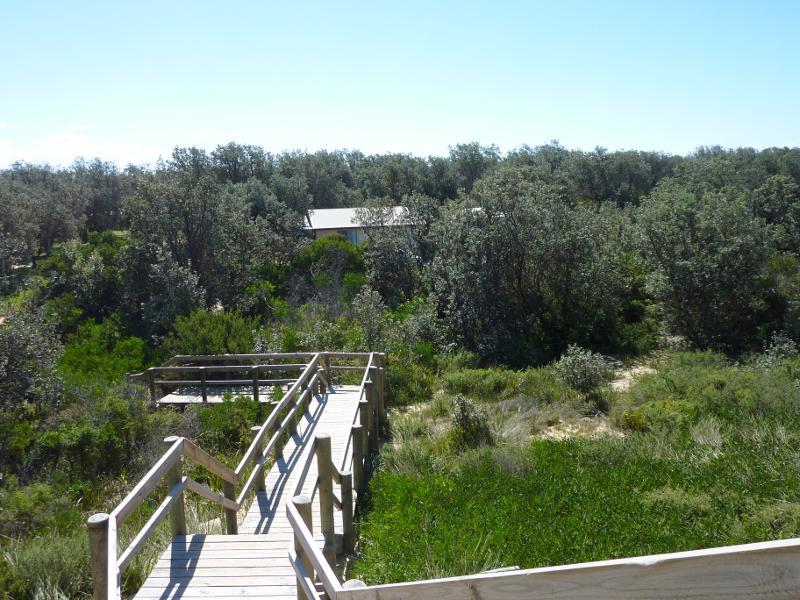 Seaspray - The Honeysuckles, beach along McLachlan Street opposite Grenfell Drive: View inland from steps over sand dunes