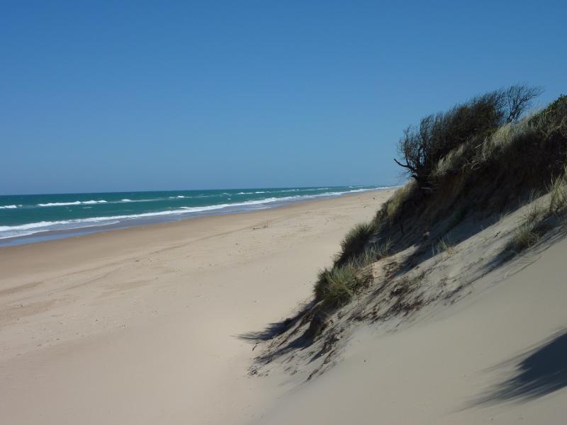 Seaspray - The Honeysuckles, beach along McLachlan Street opposite Grenfell Drive: View south-west along beach