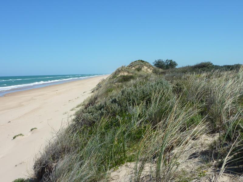 Seaspray - The Honeysuckles, beach along Shoreline Drive opposite Mandalay Drive: View south-west along beach from sand dunes
