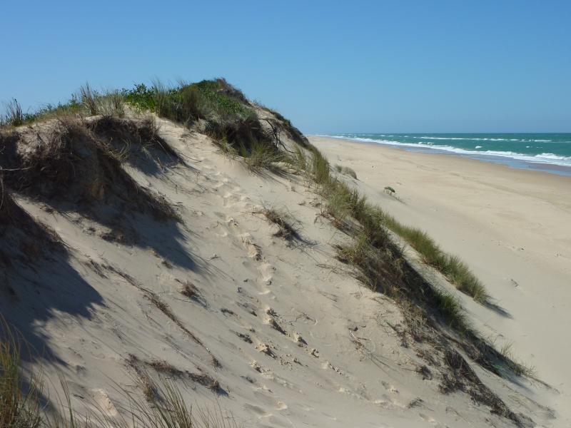 Seaspray - The Honeysuckles, beach along Shoreline Drive opposite Mandalay Drive: View north-east along beach from sand dunes