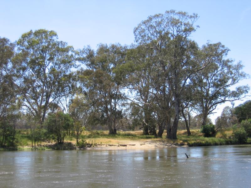 Seymour - New Crossing Place (Manners Street) and Goulburn River: View north across Goulburn River, Lions Park
