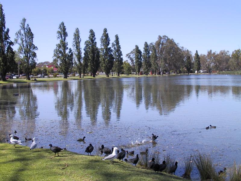 Shepparton - Victoria Park Lake, Goulburn River, Aquamoves centre - View south along Victoria Park Lake near Trevaskis Parade