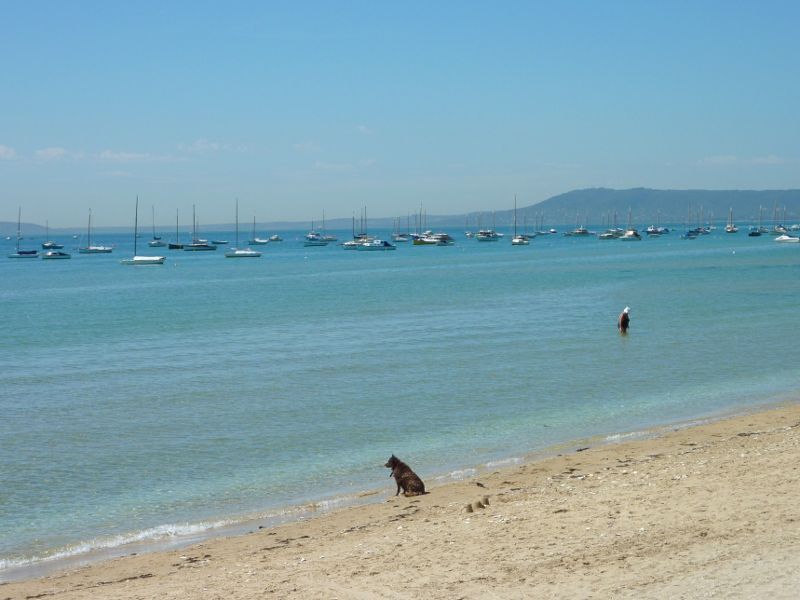 Sorrento - Sorrento Front Beach opposite St Pauls Road: View across bay from beach