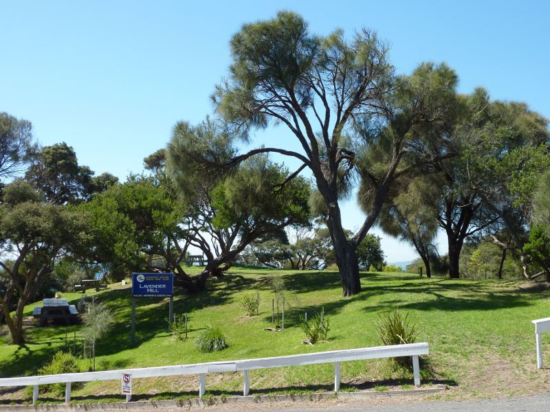 Sorrento - Sorrento Front Beach at Sorrento Sailing Couta Boat Club: Lavender Hill