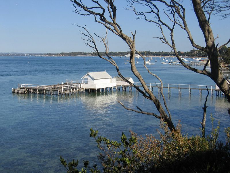 Sorrento - Point King, Port Phillip: View south-east along coast from top of Point King
