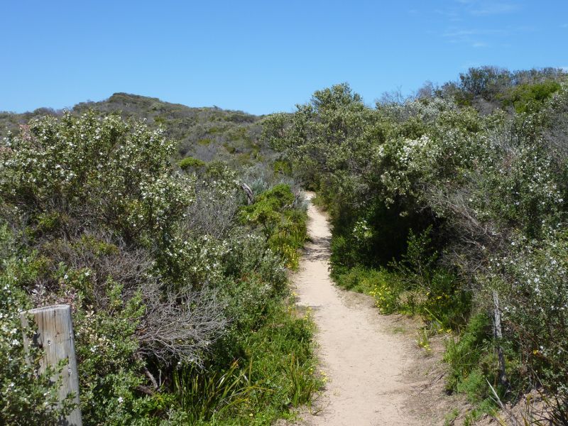 Sorrento - Diamond Bay, Bass Strait: Life Saving Track south of Diamond Bay