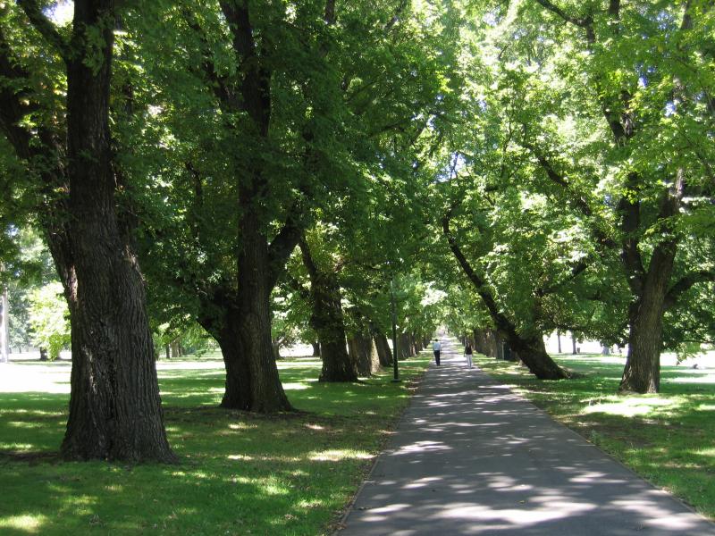 South Yarra - Fawkner Park: Shady path