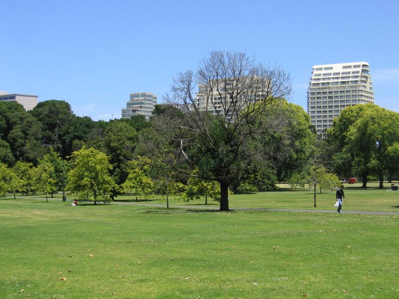 South Yarra - Fawkner Park: View across park towards buildings on St Kilda Rd