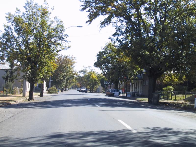 St Arnaud - Commercial centre and shops: View along tree-lined Kings Av