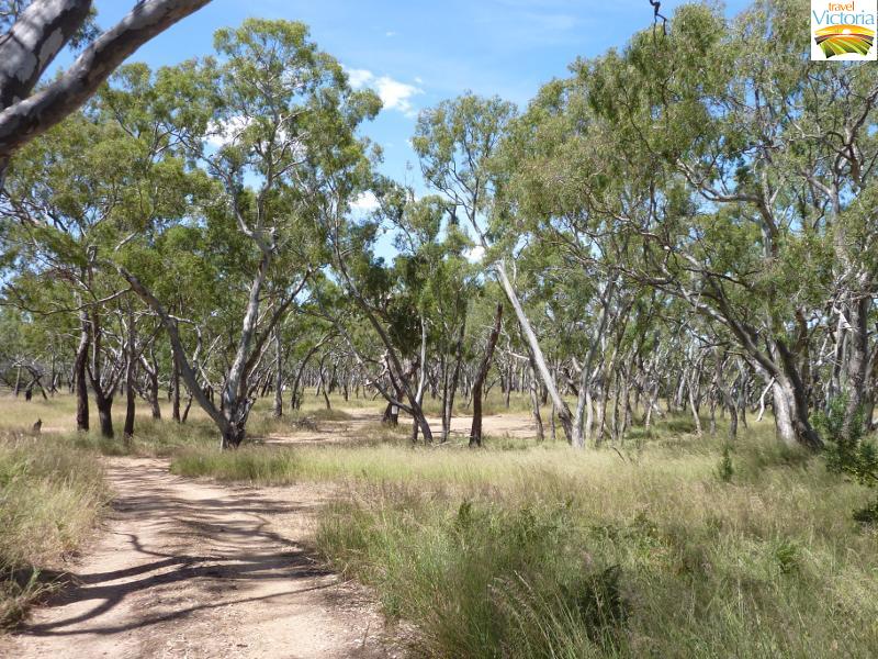 Stawell - Lake Lonsdale: access road and car park, north side of lake