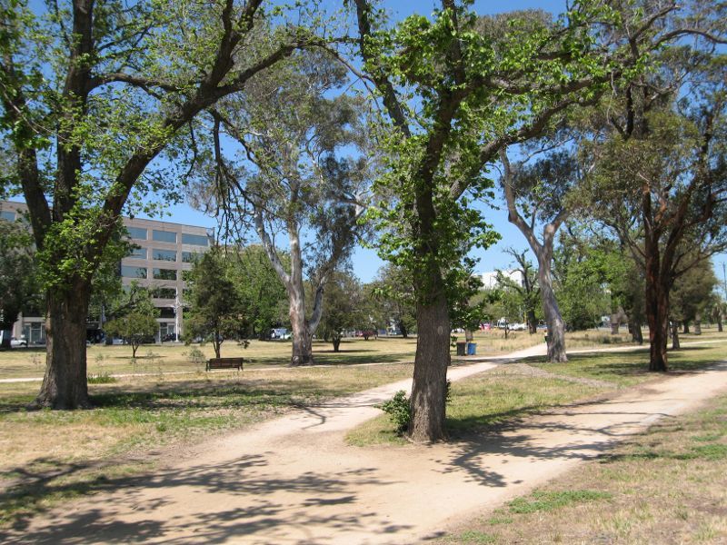 St Kilda - Albert Park along Fitzroy Street: Parkland between Junction oval and Fitzroy St