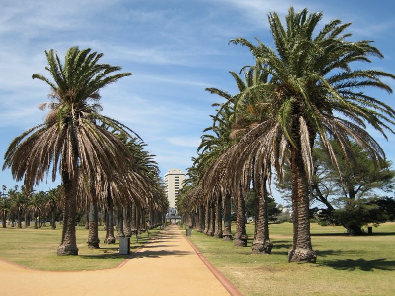 St Kilda - Catani Gardens, Beaconsfield Parade: View south-east through gardens at northern end