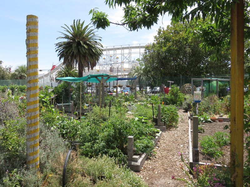 St Kilda - Veg Out Community Gardens, Shakespeare Grove: Gardens near entrance