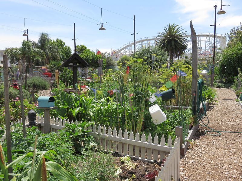 St Kilda - Veg Out Community Gardens, Shakespeare Grove: View through gardens towards Luna Park