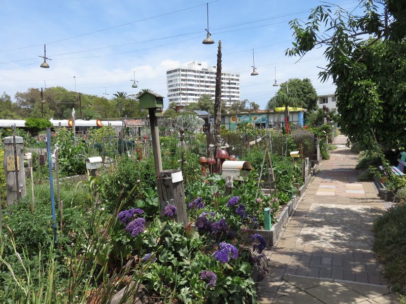 St Kilda - Veg Out Community Gardens, Shakespeare Grove: Pathway through gardens