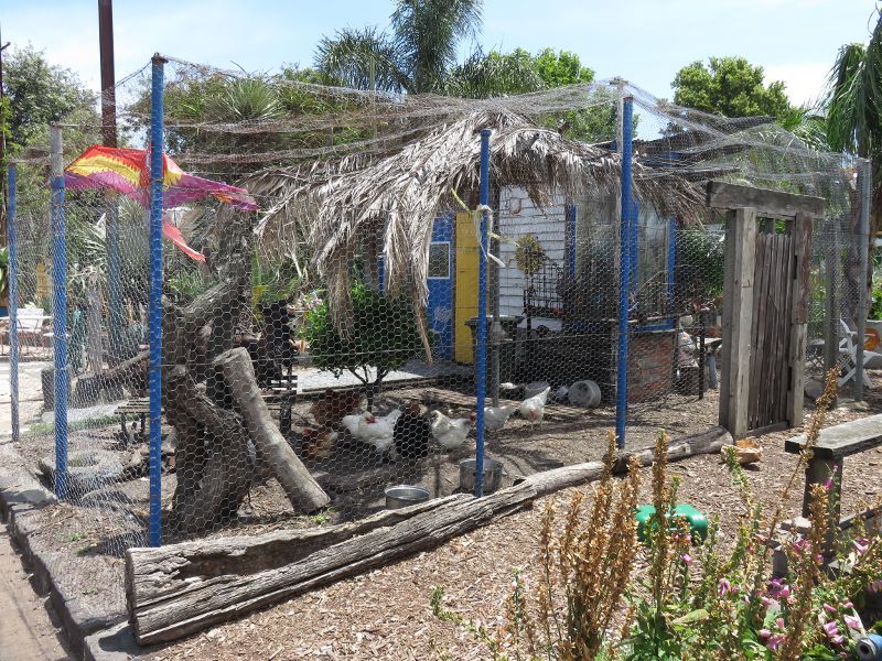 St Kilda - Veg Out Community Gardens, Shakespeare Grove: Chook enclosure