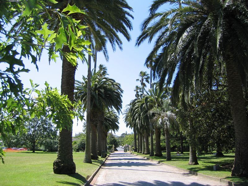 St Kilda - St Kilda Botanical Gardens, Blessington Street: View along path towards Blessington St entrance