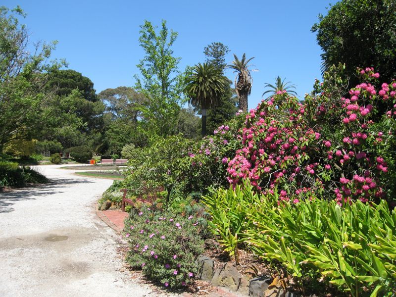 St Kilda - St Kilda Botanical Gardens, Blessington Street: Path through gardens