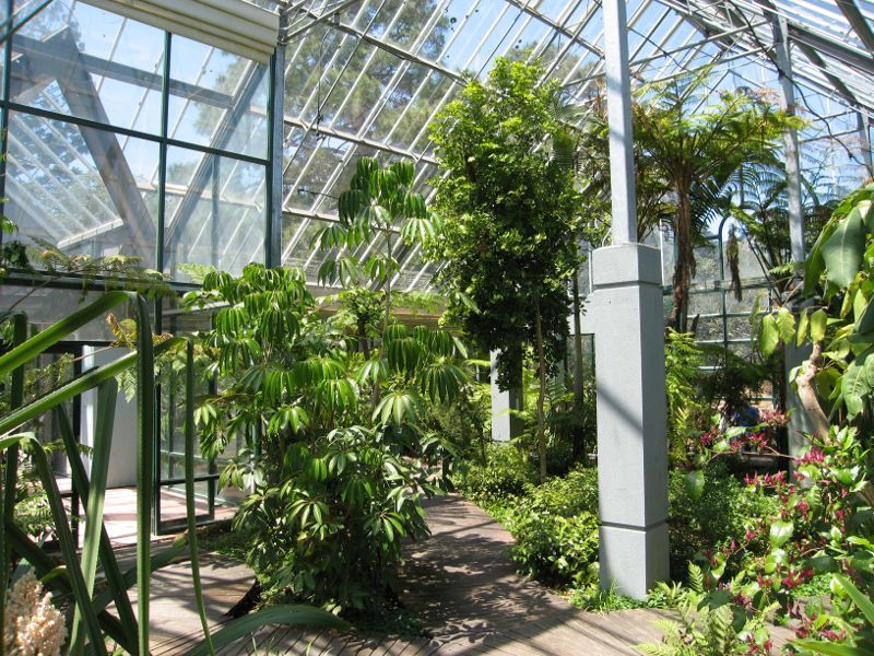 St Kilda - St Kilda Botanical Gardens, Blessington Street - Inside conservatory