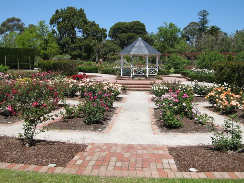 St Kilda - St Kilda Botanical Gardens, Blessington Street - Rose garden and rotunda