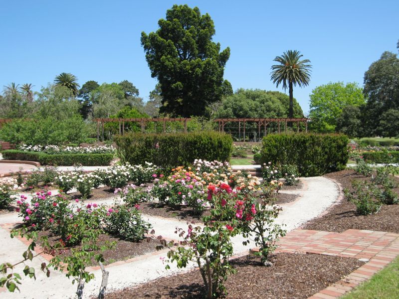 St Kilda - St Kilda Botanical Gardens, Blessington Street: Rose garden