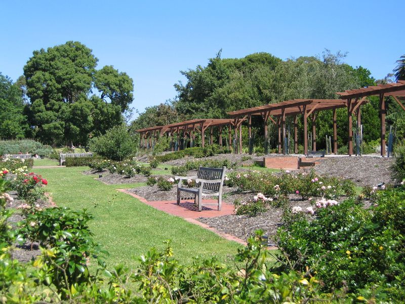 St Kilda - St Kilda Botanical Gardens, Blessington Street: Rose garden