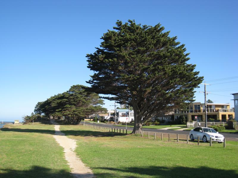 St Leonards - Beach and coastline north of town centre along The Esplanade: View south along foreshore and The Esplanade towards First Av