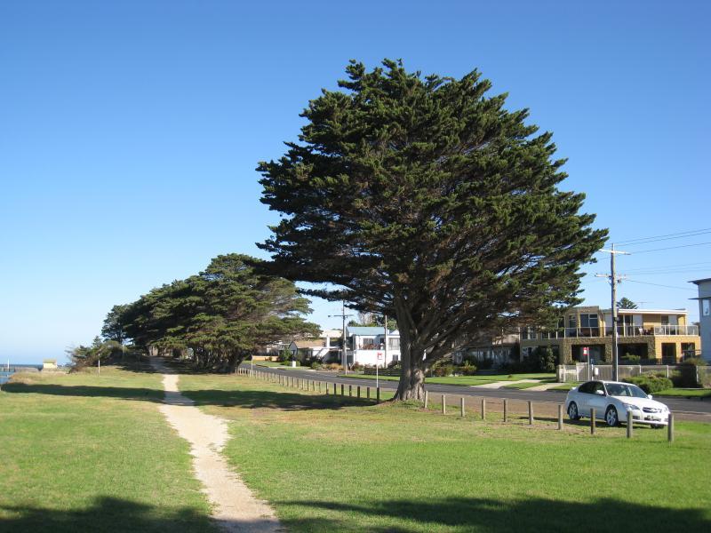 St Leonards - Beach and coastline north of town centre along The Esplanade - View south along foreshore and The Esplanade towards First Av