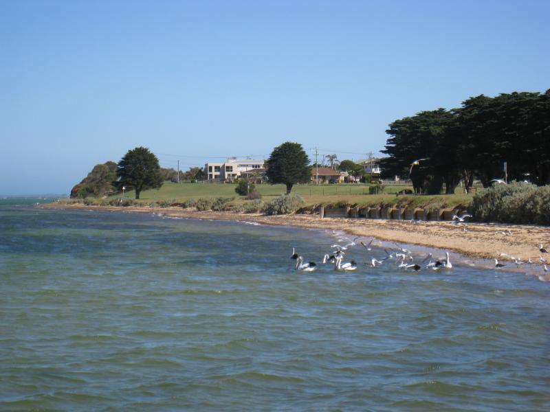 St Leonards - Jetty, boat ramp and surroundings, Bluff Road at Leviens Road: View south along coast towards The Bluff from jetty