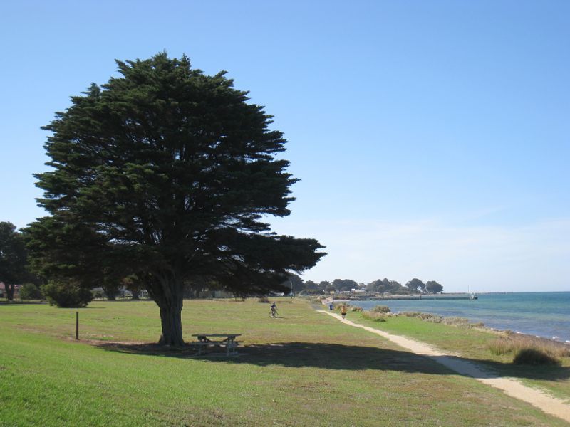 St Leonards - The Bluff and surrounding coast, Bluff Road: View north along foreshore from reserve just north of The Bluff