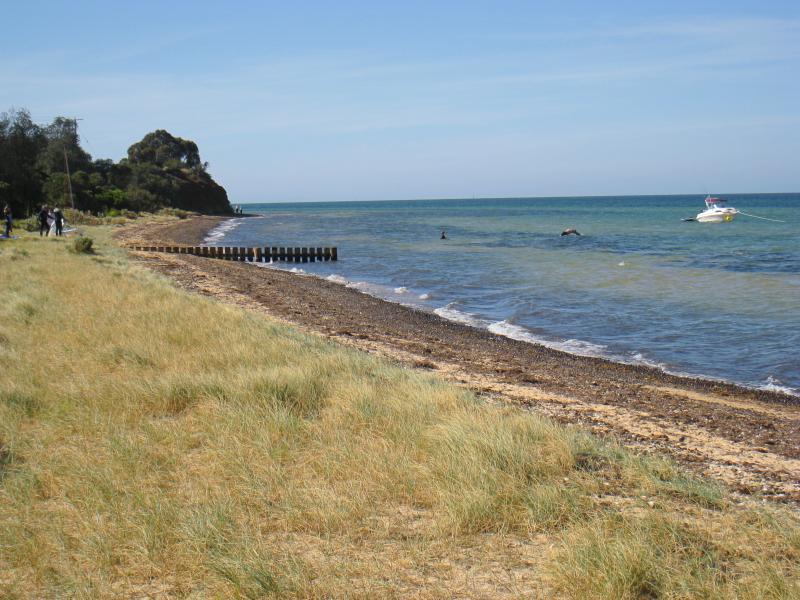 St Leonards - Lower Bluff Road: View north along beach